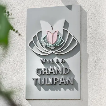 Couette-café Grand Tulipan *